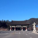 오대산 산채정식 | 강원도 월정사 맛집 '오대산가마솥식당' 건강한 산채 나물과 황태구이 정식 후기