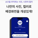 위티디자인마케팅