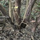 신안화장품 이미지