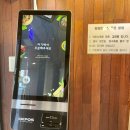 둥둥돈까스 네이버블로그