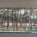 포크테일(folktale)