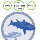 일촌회마차 이미지
