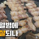 파주축산물도매센타 이미지