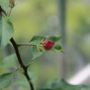 수혁농장 이미지