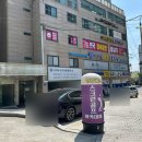 고려동물병원 | 마포 동물병원 추천 반려견 눈검사하기 좋은 곳 마포 아이뷰안과동물병원 다녀온 후기