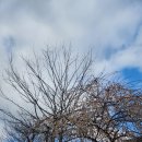 결성면 평산마을회관 | 양산 통도사 매화, 평산책방