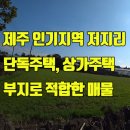 부동산25시공인중개사사무소 이미지