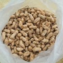 영전농장 이미지