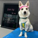 이씨네복덕방 이미지