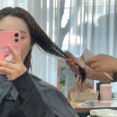 머리짓다 - 안양시 동안구 | 머리짓다
