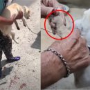 금산오토바이 서울신문