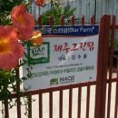 그린팜협동조합 이미지