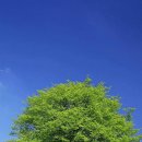 세상살이 이미지