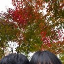 무주 덕유산펜션 그날카라반&amp;글램핑 그린내 후기