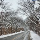 추월산 둘레길 ＜전라남도 담양군＞ 24/01/24 이미지