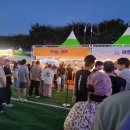 교촌치킨 강진점 | [전남강진] 제 1회 강진 하맥축제 다녀온 후기