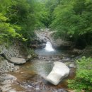 솔밭쉼터식당 이미지