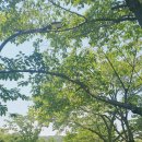 힘찬플란트치과의원 이미지