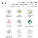 폰당폰당 이미지