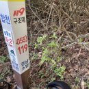철쭉길 이미지