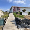 고구마 펙토리스토리 이미지