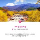 내기초등학교 이미지