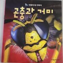 &lt;책육아&gt;여원미디어 가까이 더 가까이 후기(쪼중박?)