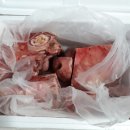 구정한우농장 이미지