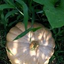 율촌농장 이미지