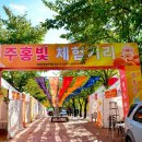 2025청도반시축제 티스토리