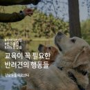 동천 동물병원 네이버블로그