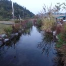 장흥군민회관 이미지