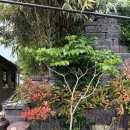 선유도에 물들다 이미지