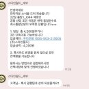 스타인호텔 | [보홀] 스타인월드 :: 노스젠선셋 반딧불투어 공항픽업샌딩 내돈내산 후기