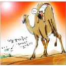 인생의 오아시스와 신기루 이미지