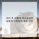 활력한의원 네이버블로그