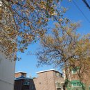 다정누림 이미지