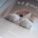 파우코 이미지