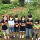 대술초등학교 이미지