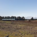 제원목장 이미지