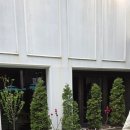 부산 서면 브런치와 커피가 맛있는 &#39;커피스가모 인 서면&#39;