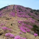 4월 4째 주 토요 정기산행 안내 [마산 무학산] 이미지