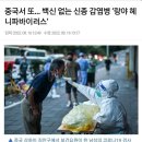 중국서 또… 백신 없는 신종 감염병 ‘랑야 헤니파바이러스’ 이미지