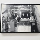 영월지오뮤지엄 이미지