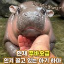 하마지농장 네이버블로그