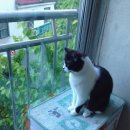 정이동물병원 이미지