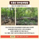 도음산 유아숲체험원 이미지