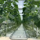 경영농장 이미지