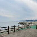 영덕