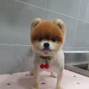 은마로동물병원 이미지